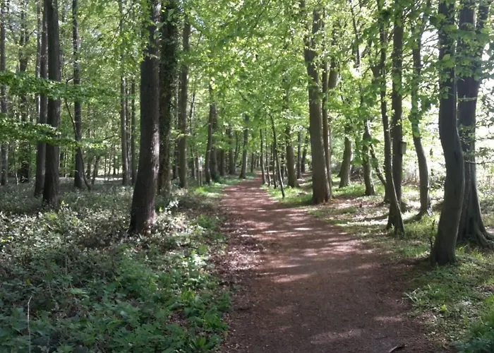 Appartamento C3 By Interhome *